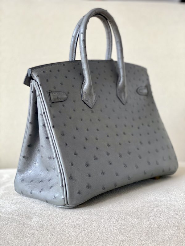 Birkin 25 Ostrich Etain(8F) Gold Hardware - Image 5