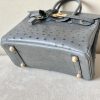 Birkin 25 Ostrich Etain(8F) Gold Hardware - Image 4