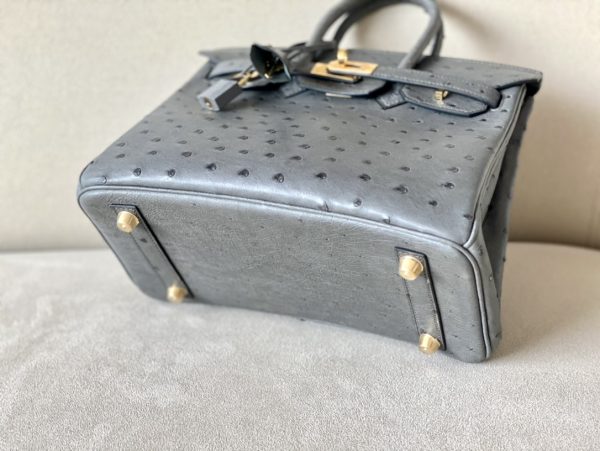 Birkin 25 Ostrich Etain(8F) Gold Hardware - Image 4