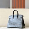 Birkin 25 Ostrich Etain(8F) Gold Hardware - Image 3