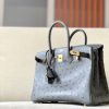 Birkin 25 Ostrich Etain(8F) Gold Hardware - Image 2