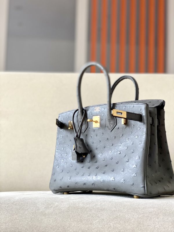 Birkin 25 Ostrich Etain(8F) Gold Hardware - Image 2