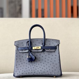 Birkin HSS 25 Ostrich Gris Agate(82) and Bleu Iris(77) Gold Hardware