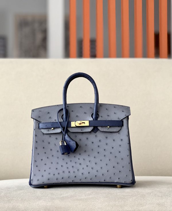 Birkin HSS 25 Ostrich Gris Agate(82) and Bleu Iris(77) Gold Hardware
