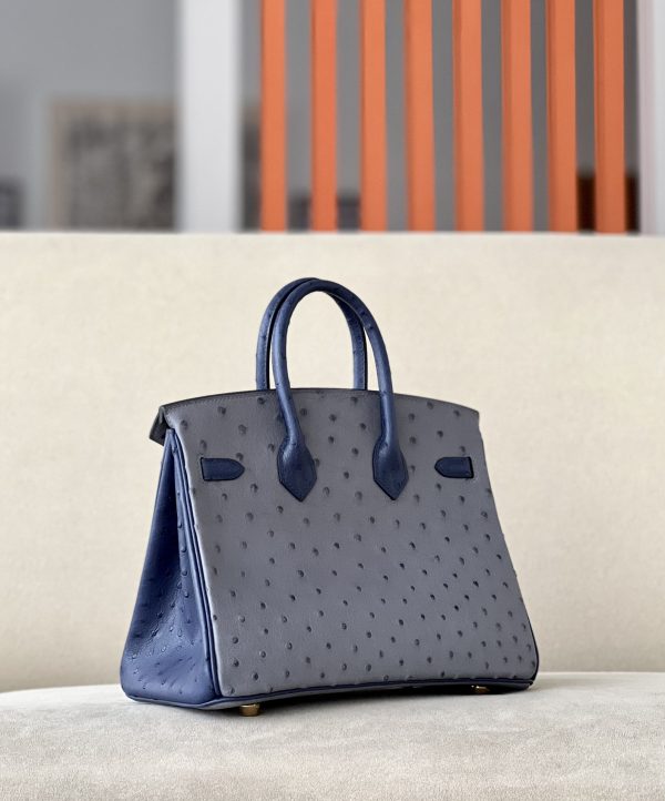 Birkin HSS 25 Ostrich Gris Agate(82) and Bleu Iris(77) Gold Hardware - Image 3
