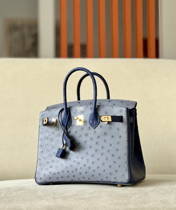 Birkin HSS 25 Ostrich Gris Agate(82) and Bleu Iris(77) Gold Hardware - Image 2