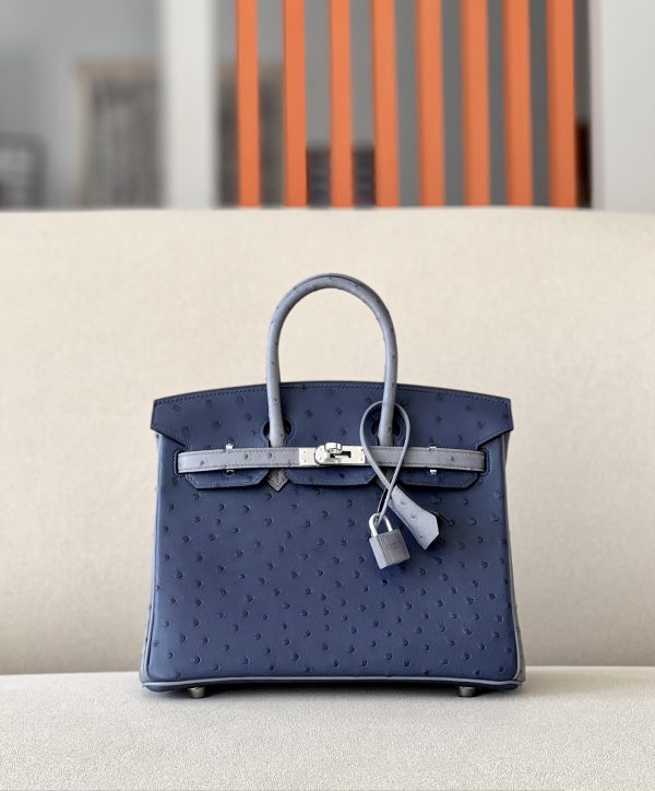 Birkin HSS 25 Ostrich Bleu Iris(77) and Gris Agate(82) Palladium Hardware