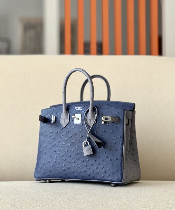 Birkin HSS 25 Ostrich Bleu Iris(77) and Gris Agate(82) Palladium Hardware - Image 2