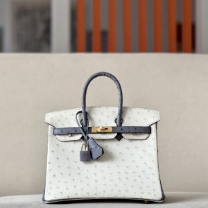 Birkin HSS 25 Ostrich Beton(8L) and Gris Agate(82) Gold Hardware