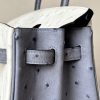 Birkin HSS 25 Ostrich Beton(8L) and Gris Agate(82) Gold Hardware - Image 12