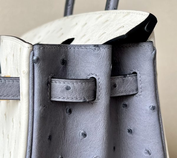 Birkin HSS 25 Ostrich Beton(8L) and Gris Agate(82) Gold Hardware - Image 12