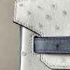 Birkin HSS 25 Ostrich Beton(8L) and Gris Agate(82) Gold Hardware - Image 8