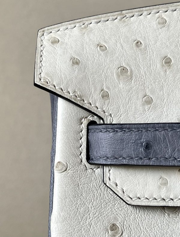 Birkin HSS 25 Ostrich Beton(8L) and Gris Agate(82) Gold Hardware - Image 8