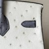 Birkin HSS 25 Ostrich Beton(8L) and Gris Agate(82) Gold Hardware - Image 7
