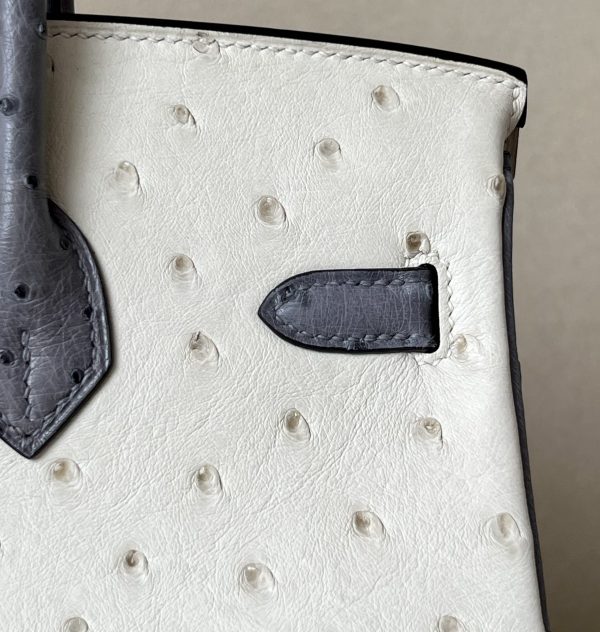 Birkin HSS 25 Ostrich Beton(8L) and Gris Agate(82) Gold Hardware - Image 7