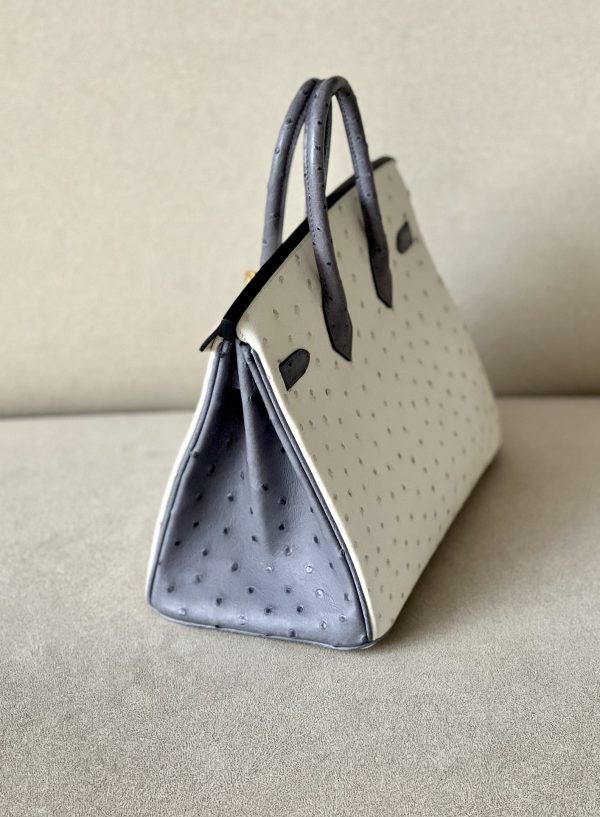 Birkin HSS 25 Ostrich Beton(8L) and Gris Agate(82) Gold Hardware - Image 6