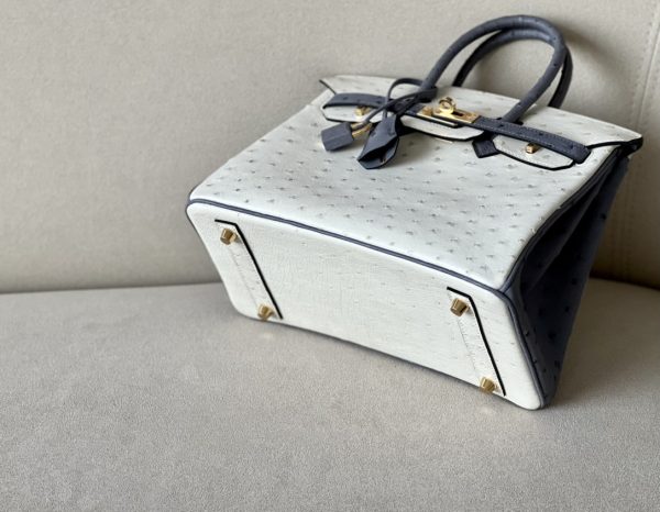 Birkin HSS 25 Ostrich Beton(8L) and Gris Agate(82) Gold Hardware - Image 5