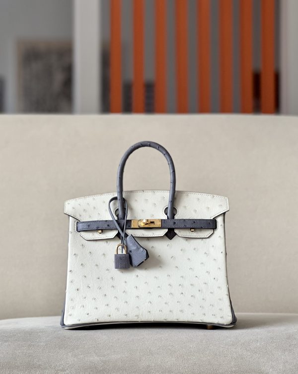 Birkin HSS 25 Ostrich Beton(8L) and Gris Agate(82) Gold Hardware - Image 4