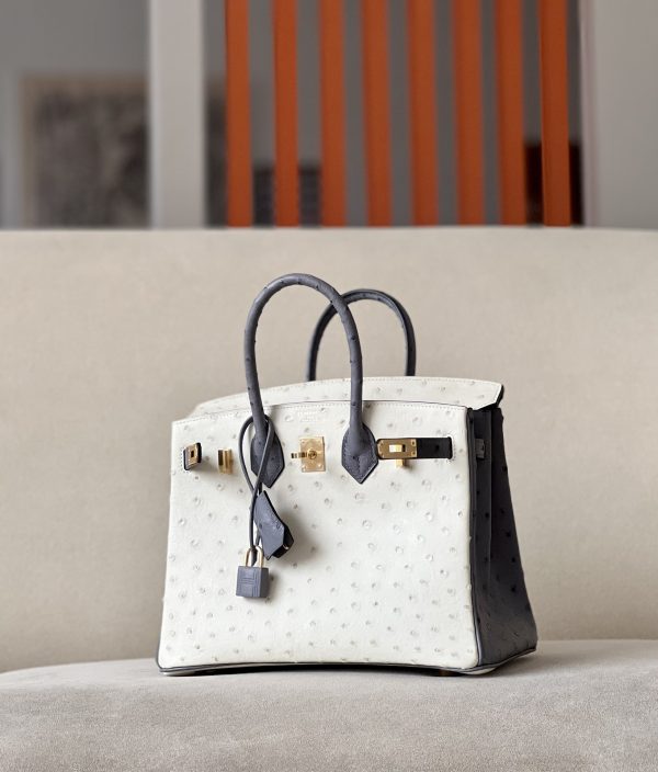 Birkin HSS 25 Ostrich Beton(8L) and Gris Agate(82) Gold Hardware - Image 3
