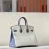 Birkin HSS 25 Ostrich Beton(8L) and Gris Agate(82) Gold Hardware - Image 2