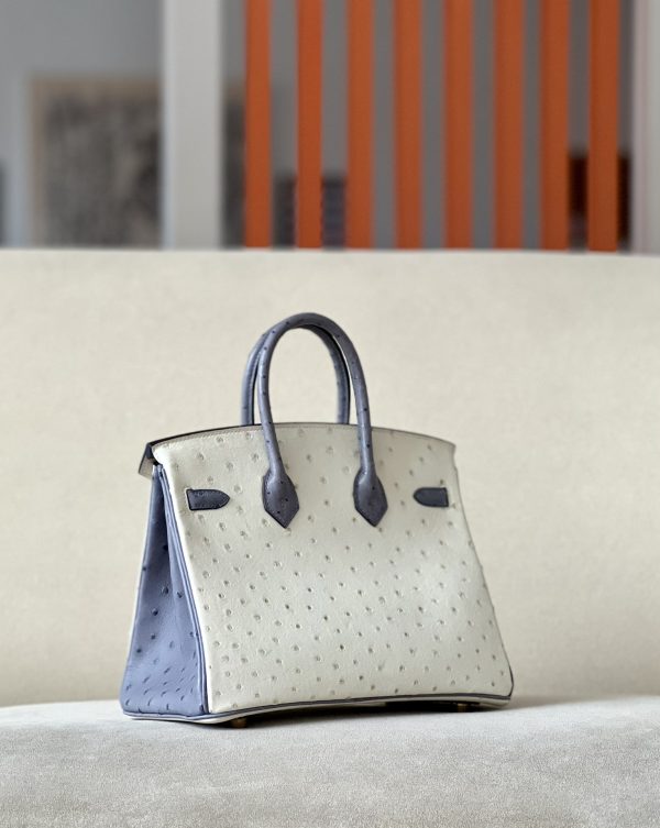 Birkin HSS 25 Ostrich Beton(8L) and Gris Agate(82) Gold Hardware - Image 2