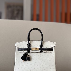Birkin HSS 25 Ostrich Beton(8L) and Nior (89) Gold Hardware