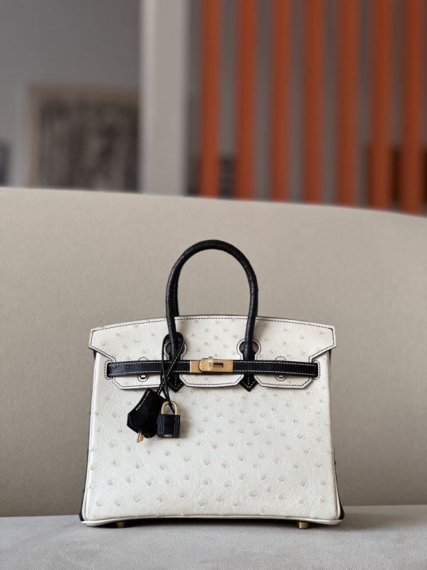 Birkin HSS 25 Ostrich Beton(8L) and Nior (89) Gold Hardware
