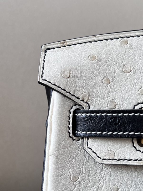 Birkin HSS 25 Ostrich Beton(8L) and Nior (89) Gold Hardware - Image 11