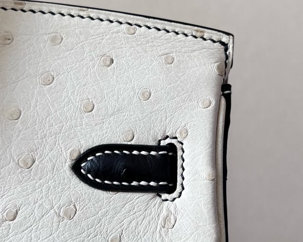 Birkin HSS 25 Ostrich Beton(8L) and Nior (89) Gold Hardware - Image 10