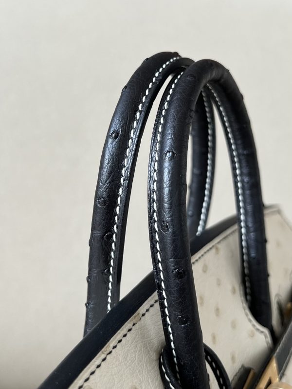 Birkin HSS 25 Ostrich Beton(8L) and Nior (89) Gold Hardware - Image 9