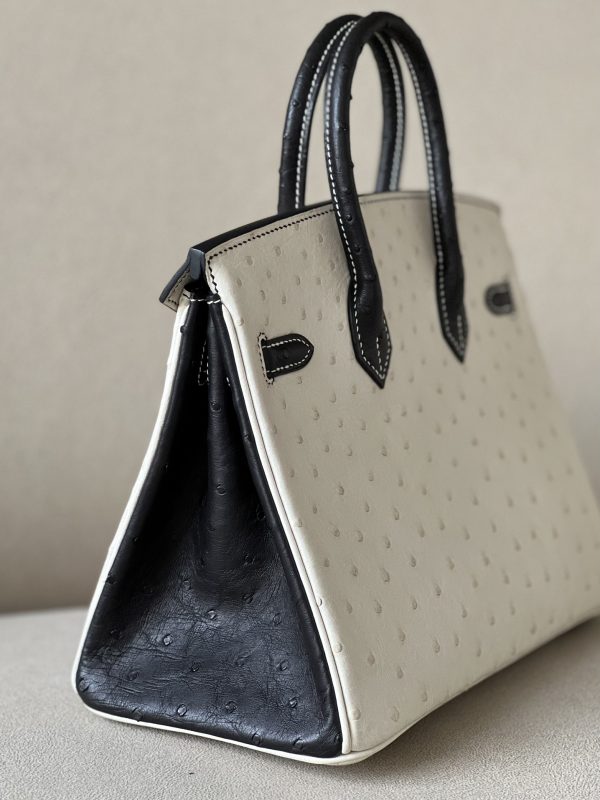 Birkin HSS 25 Ostrich Beton(8L) and Nior (89) Gold Hardware - Image 4
