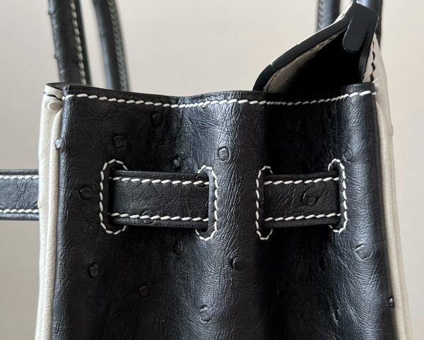 Birkin HSS 25 Ostrich Beton(8L) and Nior (89) Gold Hardware - Image 6