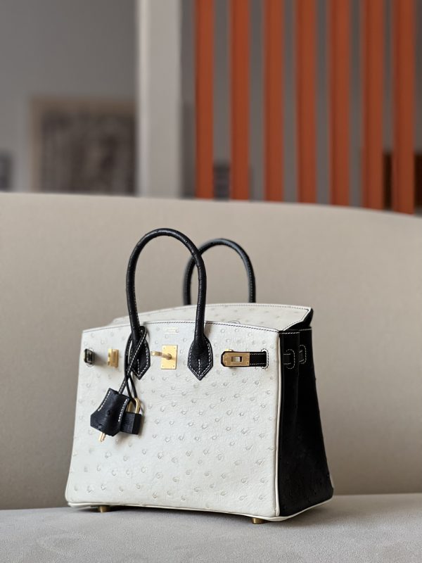 Birkin HSS 25 Ostrich Beton(8L) and Nior (89) Gold Hardware - Image 2