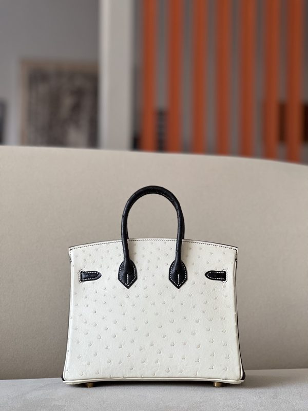 Birkin HSS 25 Ostrich Beton(8L) and Nior (89) Gold Hardware - Image 3