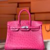 Birkin 25 Ostrich Rose Fourpre(L3)Palladium Hardware
