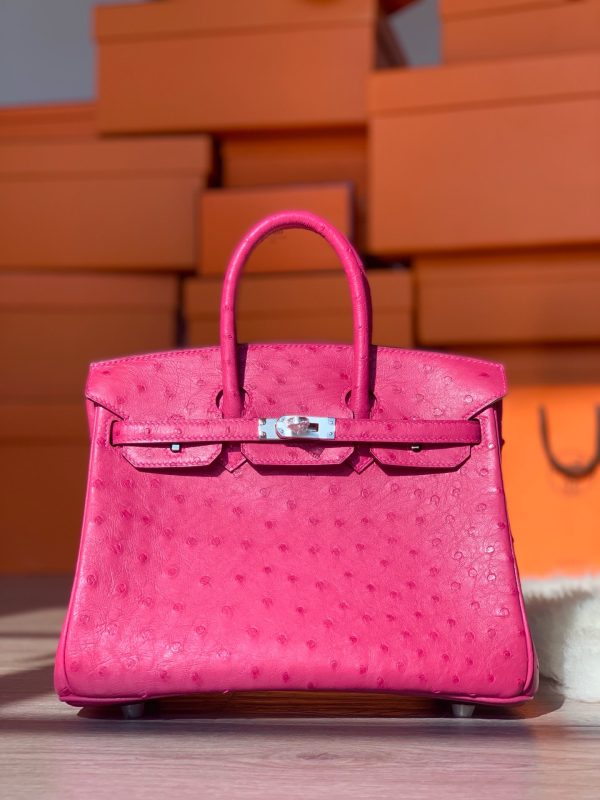 Birkin 25 Ostrich Rose Fourpre(L3)Palladium Hardware