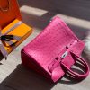 Birkin 25 Ostrich Rose Fourpre(L3)Palladium Hardware - Image 10