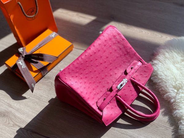 Birkin 25 Ostrich Rose Fourpre(L3)Palladium Hardware - Image 10