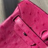 Birkin 25 Ostrich Rose Fourpre(L3)Palladium Hardware - Image 6