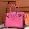 Birkin 25 Ostrich Rose Fourpre(L3)Palladium Hardware - Image 2