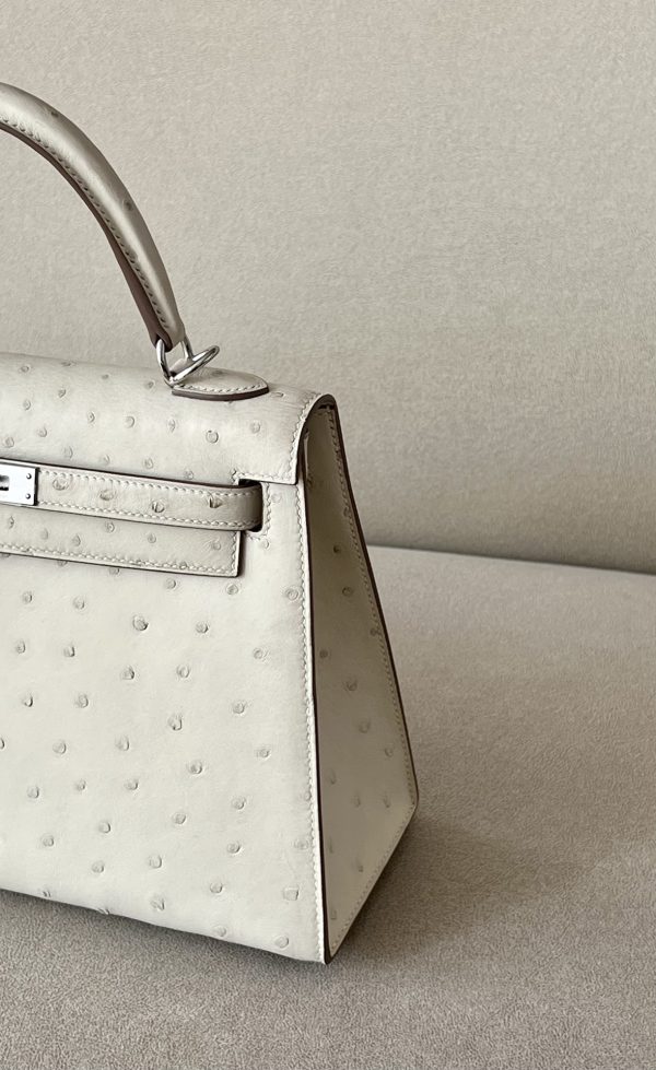 Kelly 25 Ostrich Parchemin (3C) Palladium Hardware - Image 9