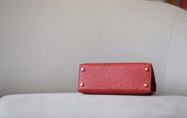 Kelly 25 Ostrich Rouge Tomate(S5) Gold Hardware - Image 6