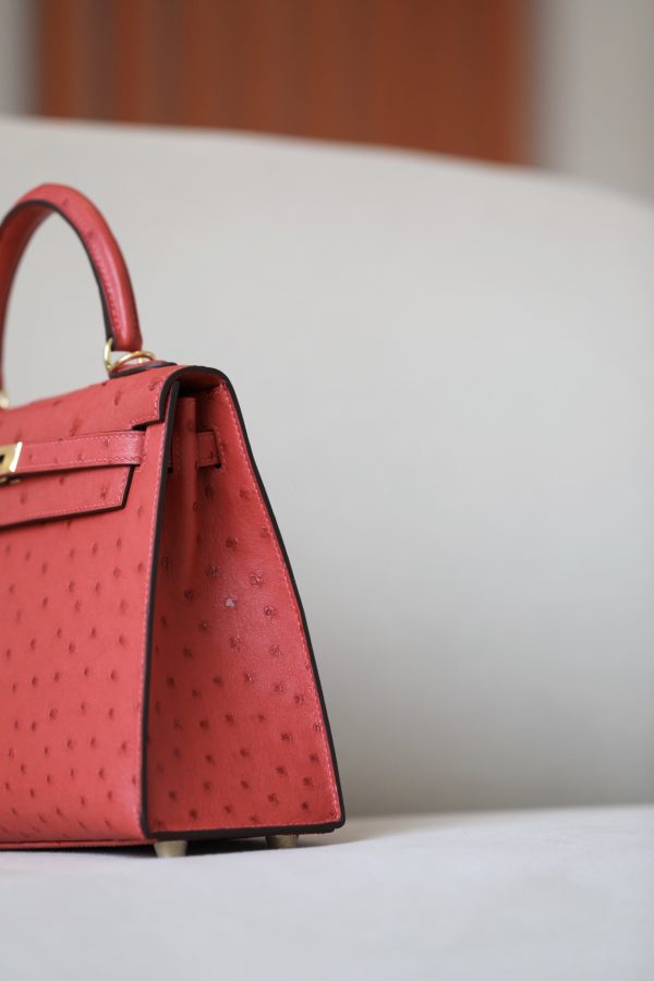 Kelly 25 Ostrich Rouge Tomate(S5) Gold Hardware - Image 5