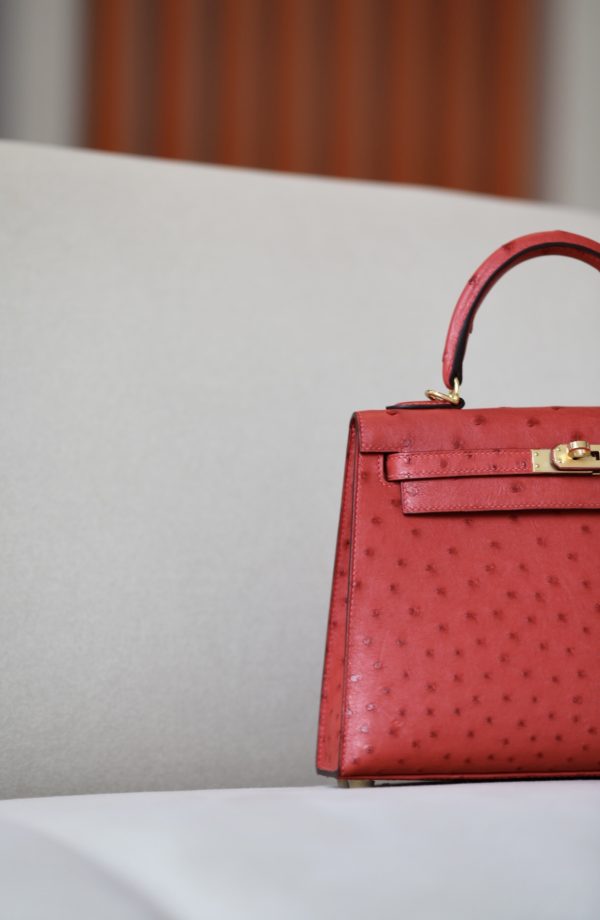 Kelly 25 Ostrich Rouge Tomate(S5) Gold Hardware - Image 4