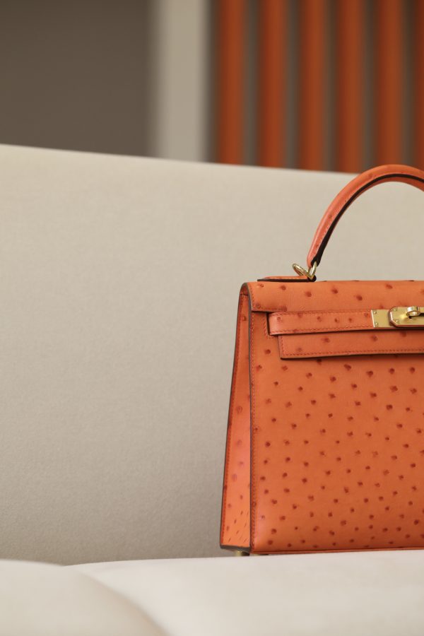 Kelly 25 Ostrich Orange(93) Gold Hardware - Image 12