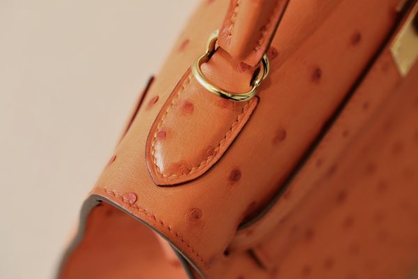 Kelly 25 Ostrich Orange(93) Gold Hardware - Image 6