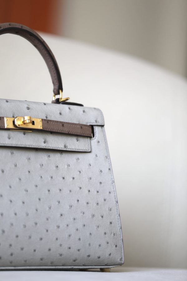 Kelly HSS 25 Ostrich Etoupe(18) and Beton(8L)  Gold Hardware - Image 12