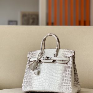 Birkin Himalayan Crocodile 25 Palladium Hardware