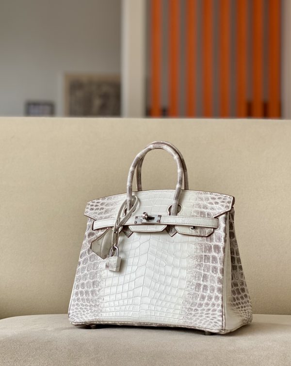 Birkin Himalayan Crocodile 25 Palladium Hardware
