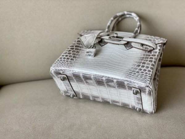 Birkin Himalayan Crocodile 25 Palladium Hardware - Image 2